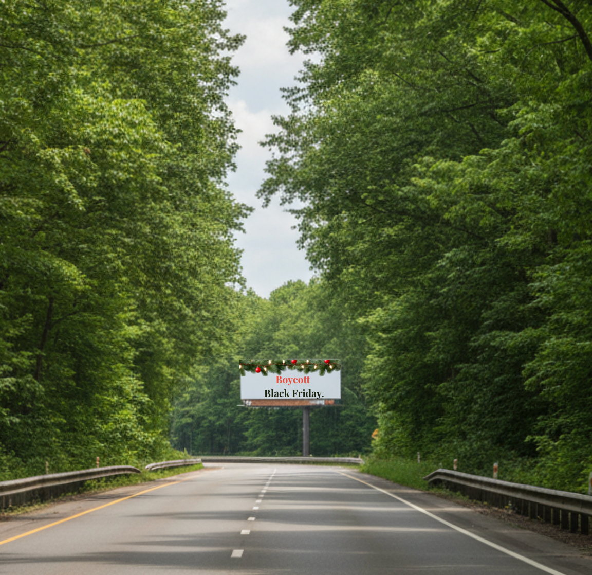 Did You Boycott Black Friday Shopping, Too?