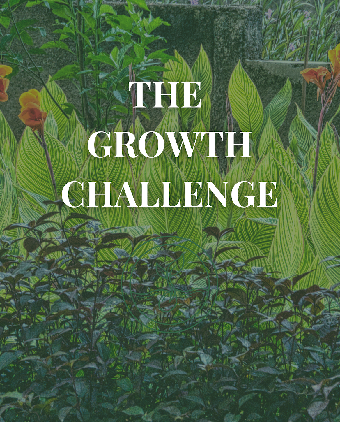 The Ultimate Yearlong Wealth Challenge: Weekly Money Habits That Build Real Financial Change